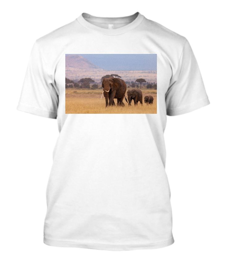 3 ELEPHANT - Front