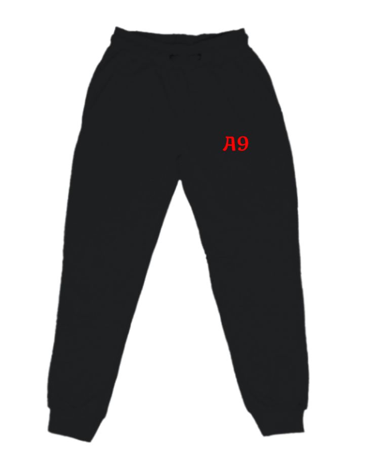 A9 - Front