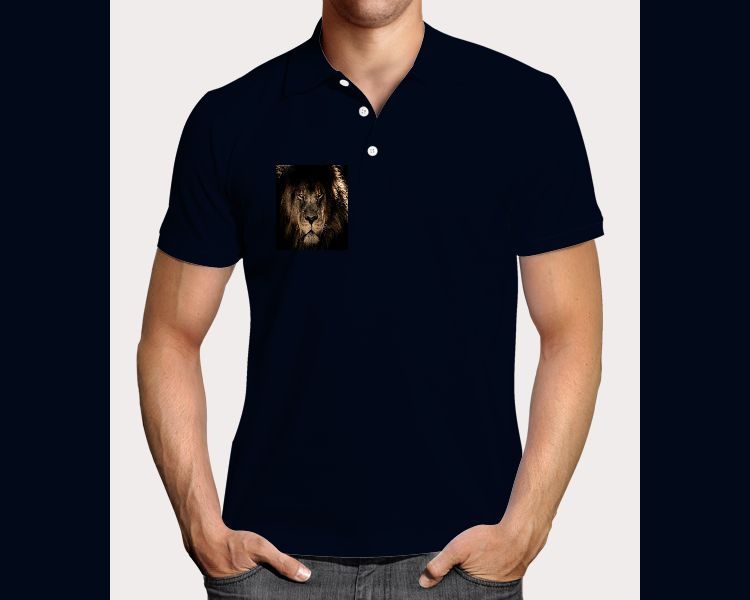 Lion_3 - Front