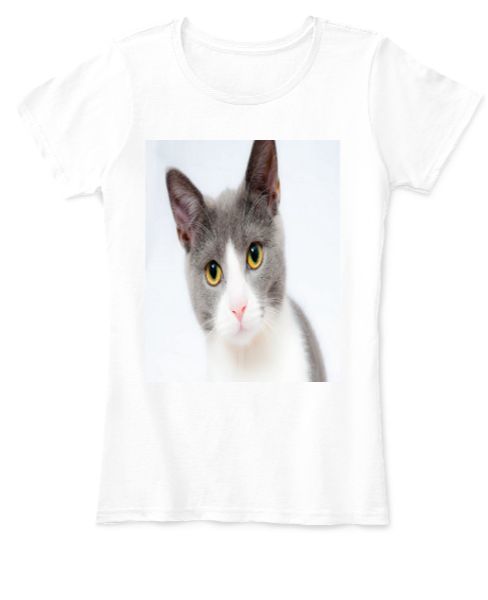 cat tshirt for girls - Front
